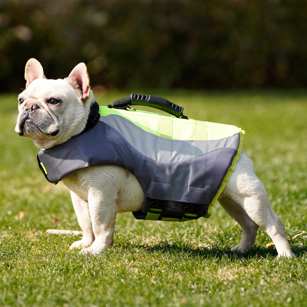 Reflective Pet Life Jacket For Safe Swimming Adventures